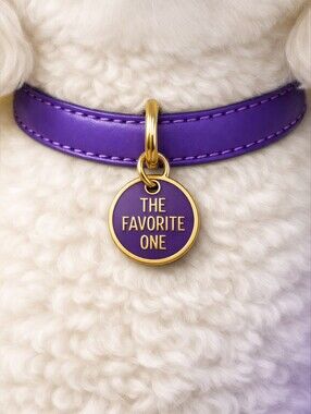 Dog/Cat Pet Collar Charm -The Favorite One, Metal Enamel SMALL .75" Diameter NIP